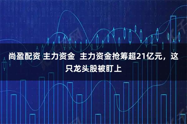 尚盈配资 主力资金 主力资金抢筹超21亿元,这只龙头股被盯上