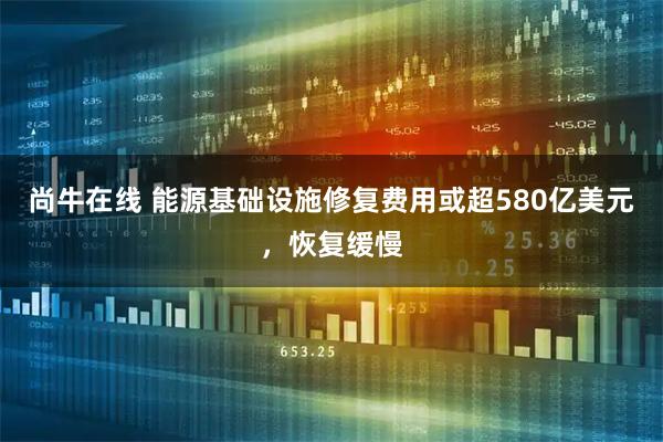 尚牛在线 能源基础设施修复费用或超580亿美元，恢复缓慢