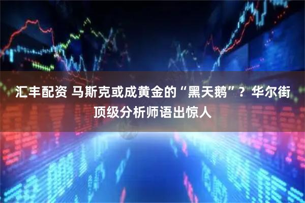 汇丰配资 马斯克或成黄金的“黑天鹅”？华尔街顶级分析师语出惊人